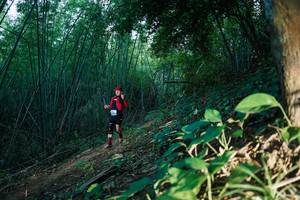 BIB: 
                            <button type="button" onclick="openModal(28124686)" class="btn btn-primary btn-sm float-right btn-popup" data-toggle="modal" data-target=".modal-high-quality">
                        <i class="fas fa-shopping-cart"></i> Add to Cart
                    </button>
                                            <button type="button" onclick="isThisMe(28124686, true)" class="btn btn-success btn-sm float-right btn-popup btn-isme hidden" data-toggle="tooltip" data-placement="bottom" title="นี่คือรูปของคุณใช่ไหม คลิกที่นี่เพื่อเอาเข้าอัลบั้ม">
                        <i class="fas fa-plus"></i> Add to album
                    </button>
                    <button type="button" onclick="isThisMe(28124686, false)" class="btn btn-warning btn-sm float-right btn-popup btn-isnotme hidden">
                        <i class="fas fa-ban"></i> Remove from album
                    </button>